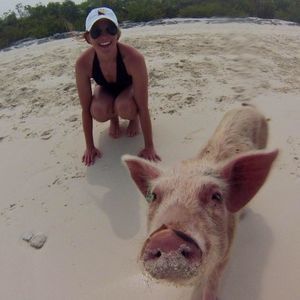 Meet your Posher, Liz